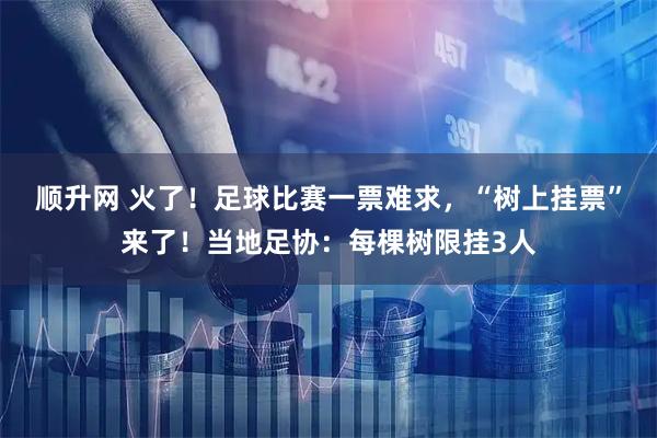 顺升网 火了！足球比赛一票难求，“树上挂票”来了！当地足协：每棵树限挂3人